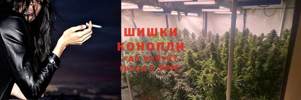 гашик Аркадак