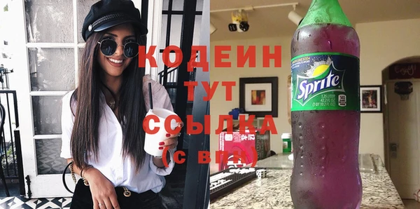 прущий лед Арсеньев