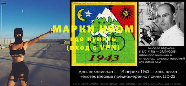 гашик Аркадак