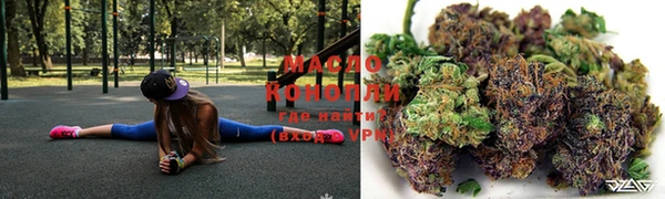 гашик Аркадак