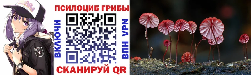 мега ТОР  где найти   Перевоз  Галлюциногенные грибы мицелий 
