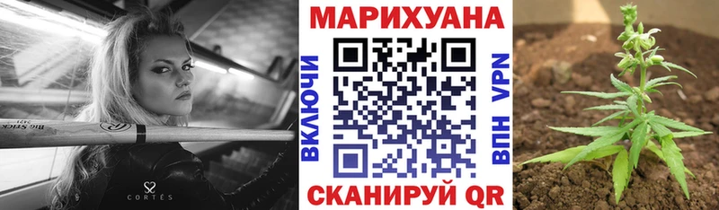 цена   Перевоз  Бошки марихуана White Widow 